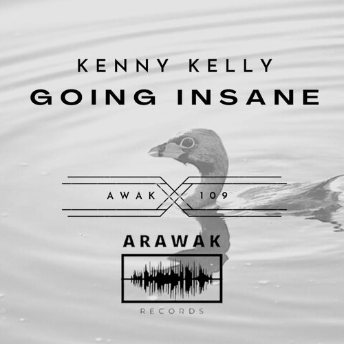 Kenny Kelly - Going Insane [AWAK109]